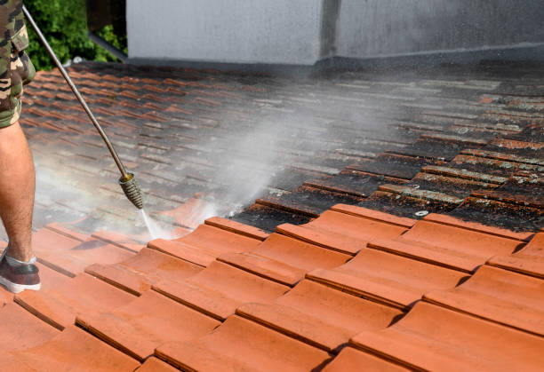 Best Roof Power Washing Services  in Douglass, KS